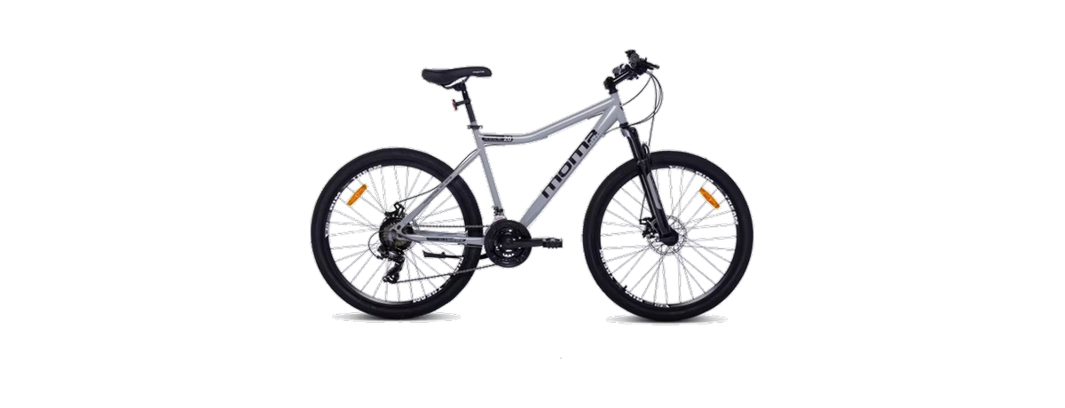 VTT adulte gris